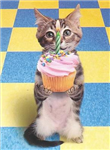 Birthday