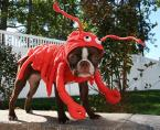 Send Lobsters To Your Friends!!