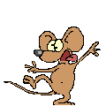 Tikus