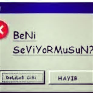 Seviyormusun Sevmiyormusun??