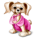 Puppy For You