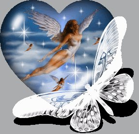have a nice day