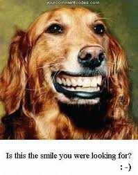 doggy