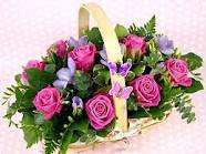 basket flower