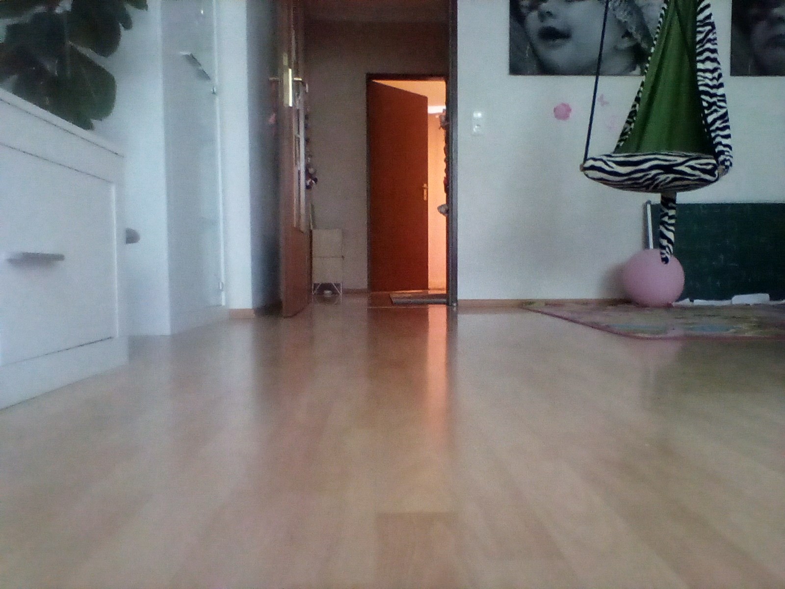 Welcher Sonic Charakter Bist Du?