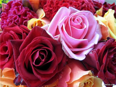 flowers