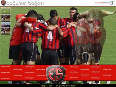 Ne Kadar Erzincansporlusun
