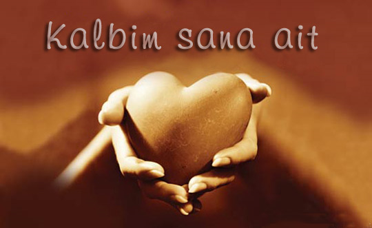 Seni Seviyormu