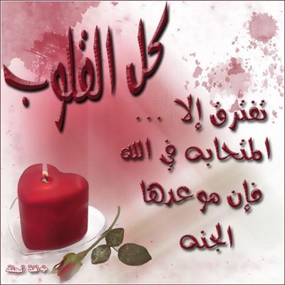 .اسم حبيب\\تك هو يلي عم تفكر فيه