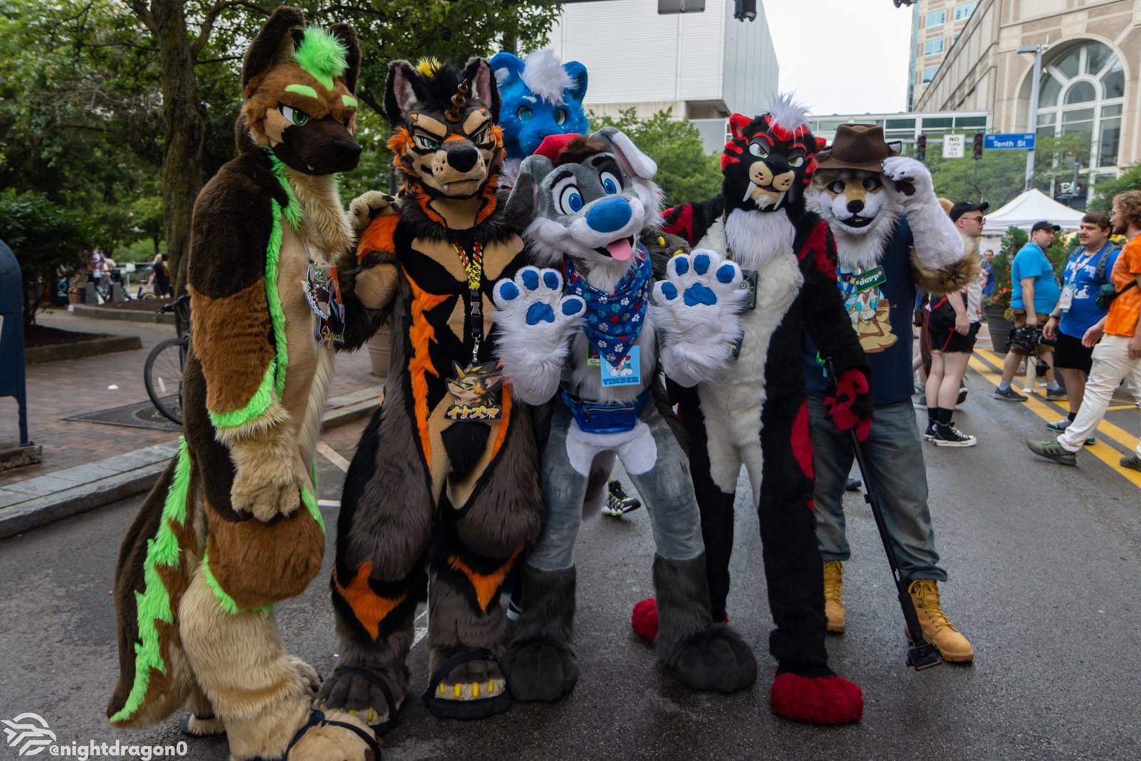 Seberapa Furry kamu