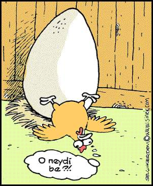 Nesin Sen 