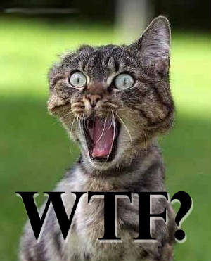 Test Wtf.
