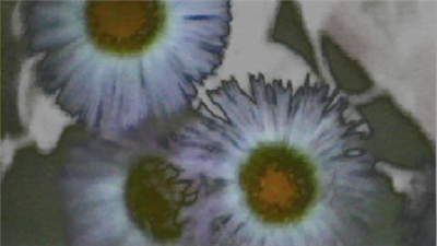 FLOWER DIGITAL ART BY SHANE L MILLER
