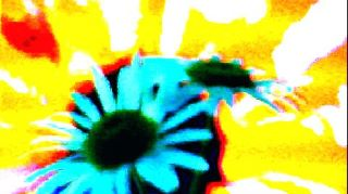 FLOWER DIGITAL ART BY SHANE L MILLER