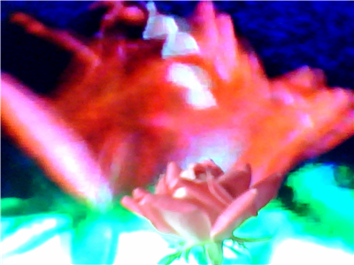 FLOWER DIGITAL ART BY SHANE L MILLER