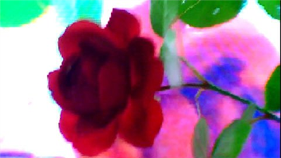 FLOWER DIGITAL ART BY SHANE L MILLER