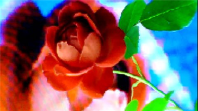 FLOWER DIGITAL ART BY SHANE L MILLER