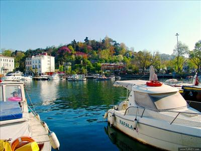 Hangi -Sarıyer- Semtisiniz? 