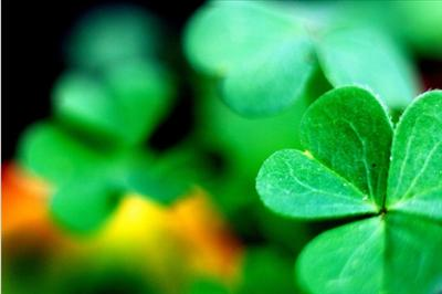 Lucky Or Not?