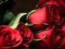 Sweet surprise