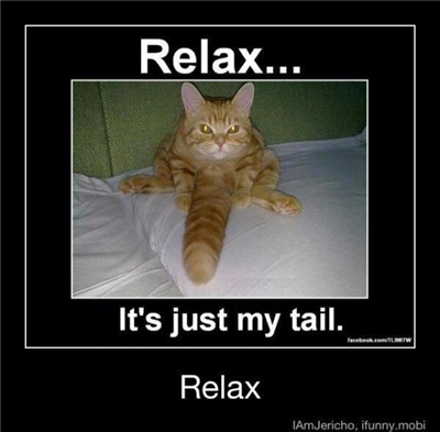 (FUNNY) Just My Tail!
