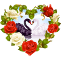 Love Swans