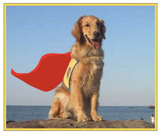 super dog