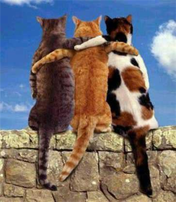friends
