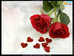 I love you