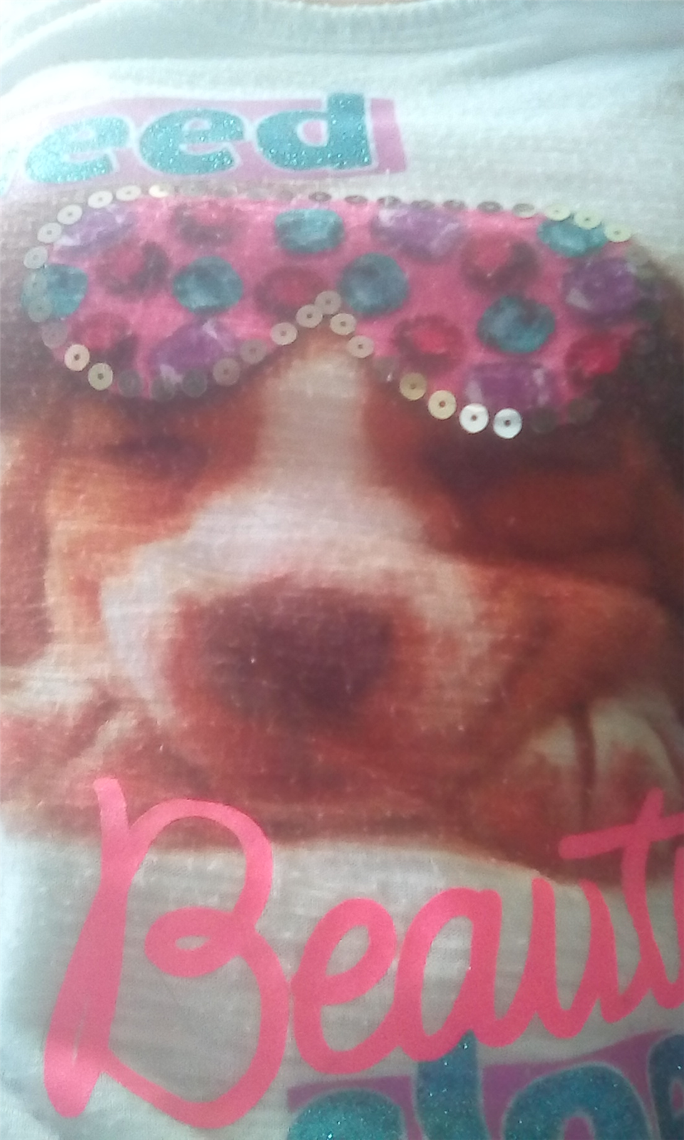 Q Tanto Amas Los Perros