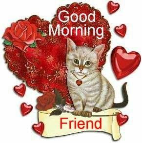 GOOD MORNİNG
