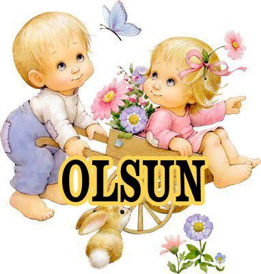 OLSUN