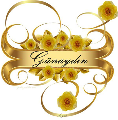 GÜNAYDIN
