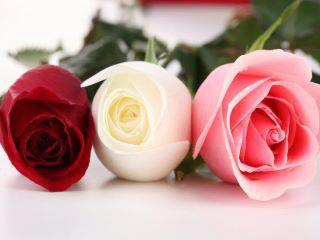 HAVE A NİCE DAY