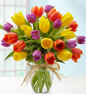 tulips