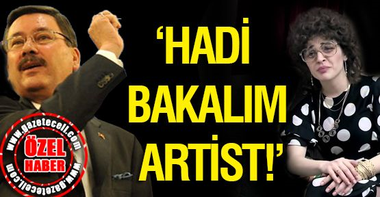 Artist Misin?