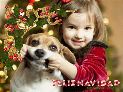 Feliz Navidad