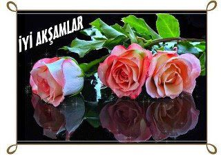 İyi Akşamlar