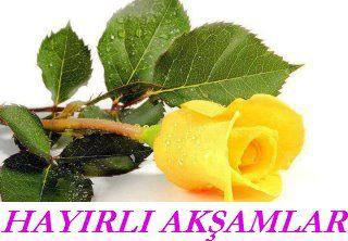 HAYIRLI AKŞAMLAR