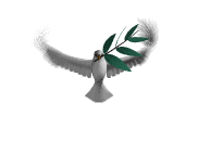 flying bird