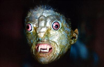 Ant Kiek Reptilija Tu Esi Šiandien?