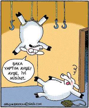 Kurban bayramı Kutlu Olsun