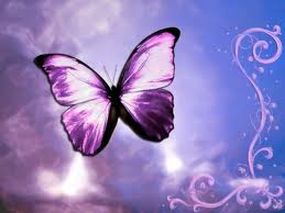 another butterfly