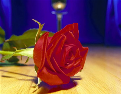 rose