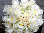 Lowe Flowers