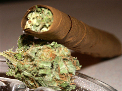 Blunt!