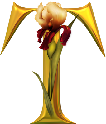 T