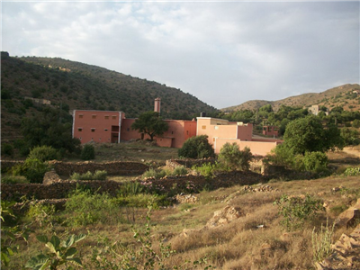 lamderst