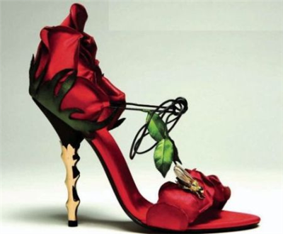 rose shoes