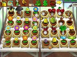 zen garden